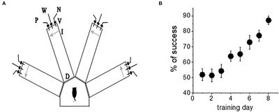 Olfactory rule learning-induced enhancement in intrinsic neuronal excitability is maintained by shutdown of the cholinergic M-current